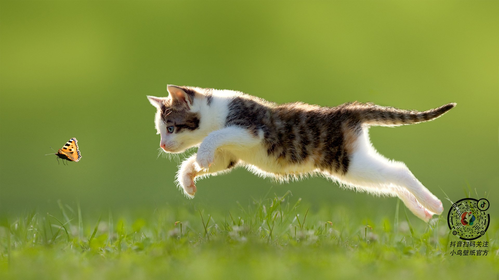 篮球专项技能教学创新实践及效果评估，篮球教学实施报告 教学能力比赛