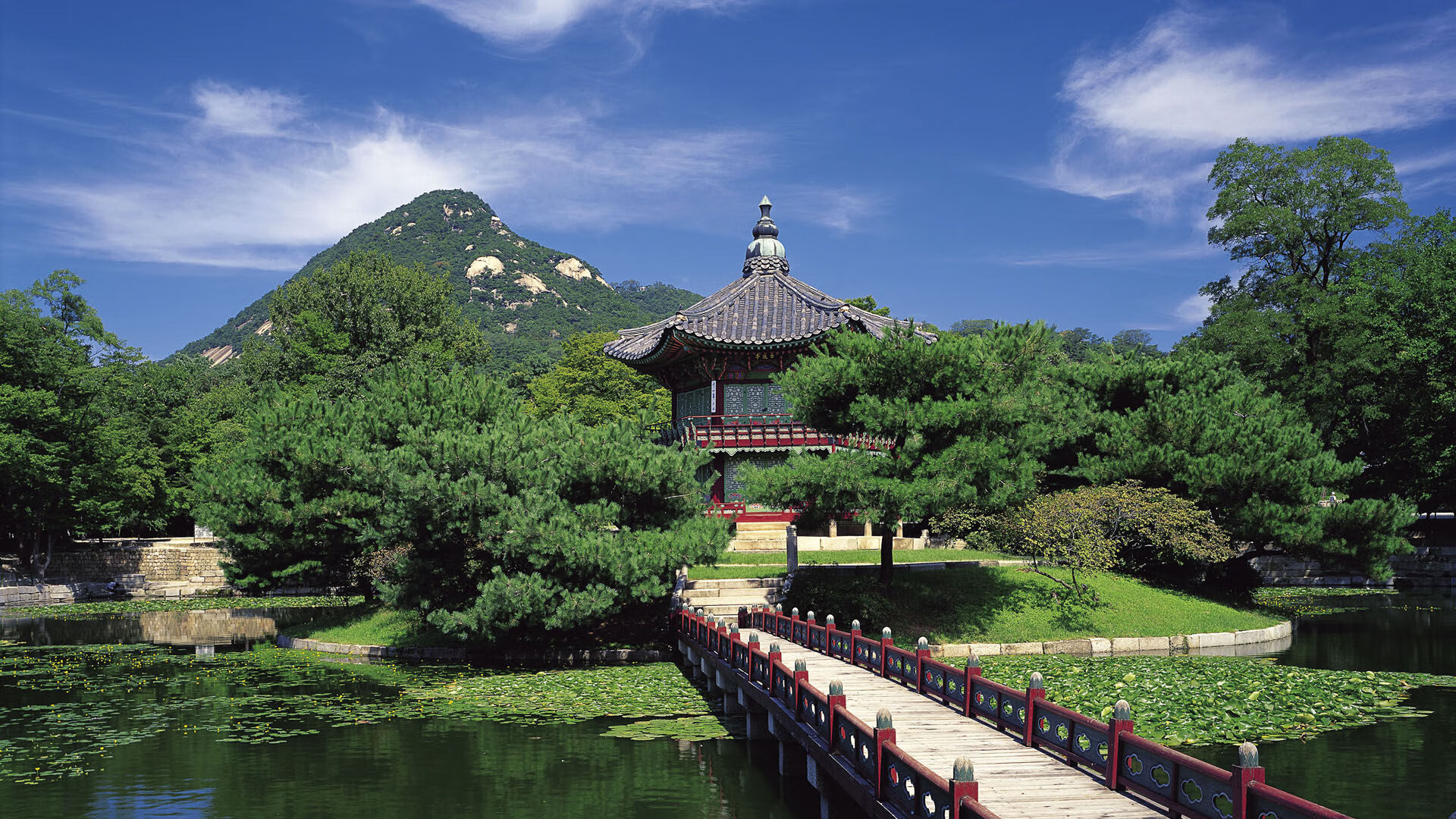 篮球运动员比赛数据采集技术与战术分析系统开发,篮球数据技术统计