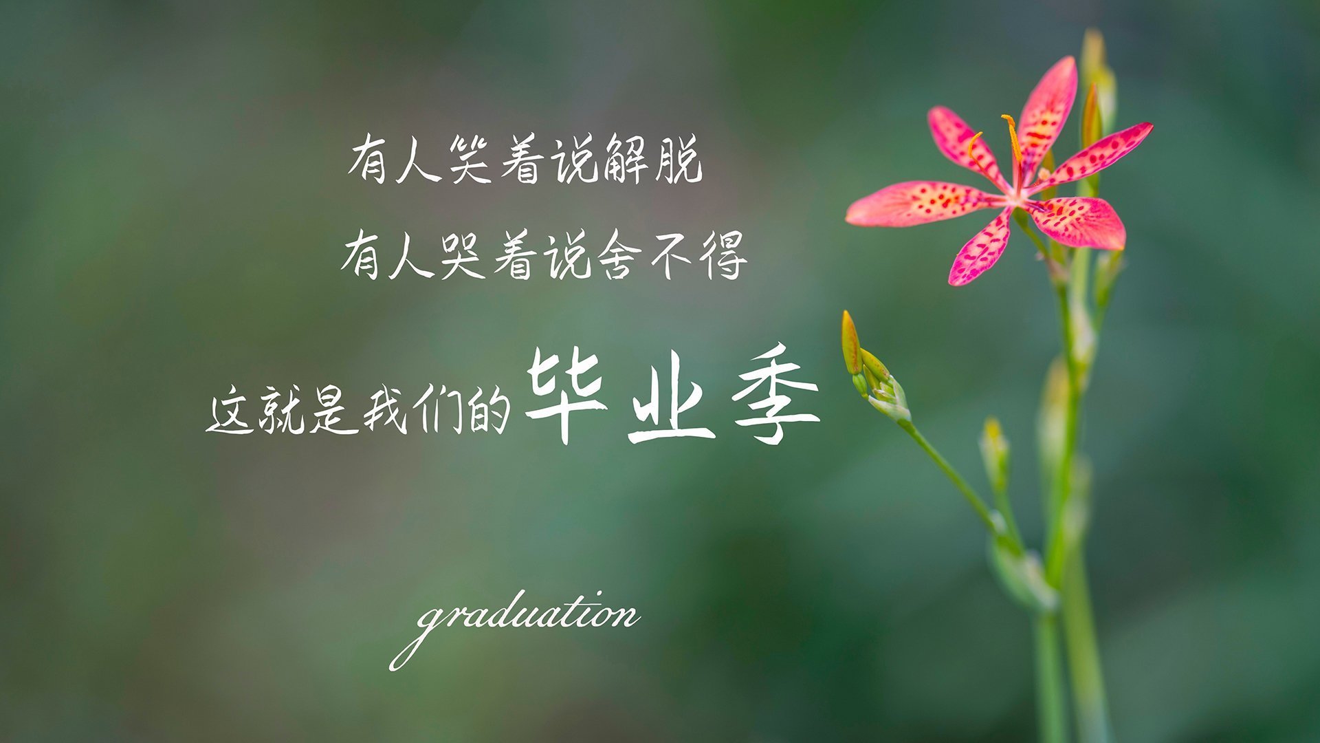 篮球运动员比赛状态调节技术及应用研究,篮球比赛模式