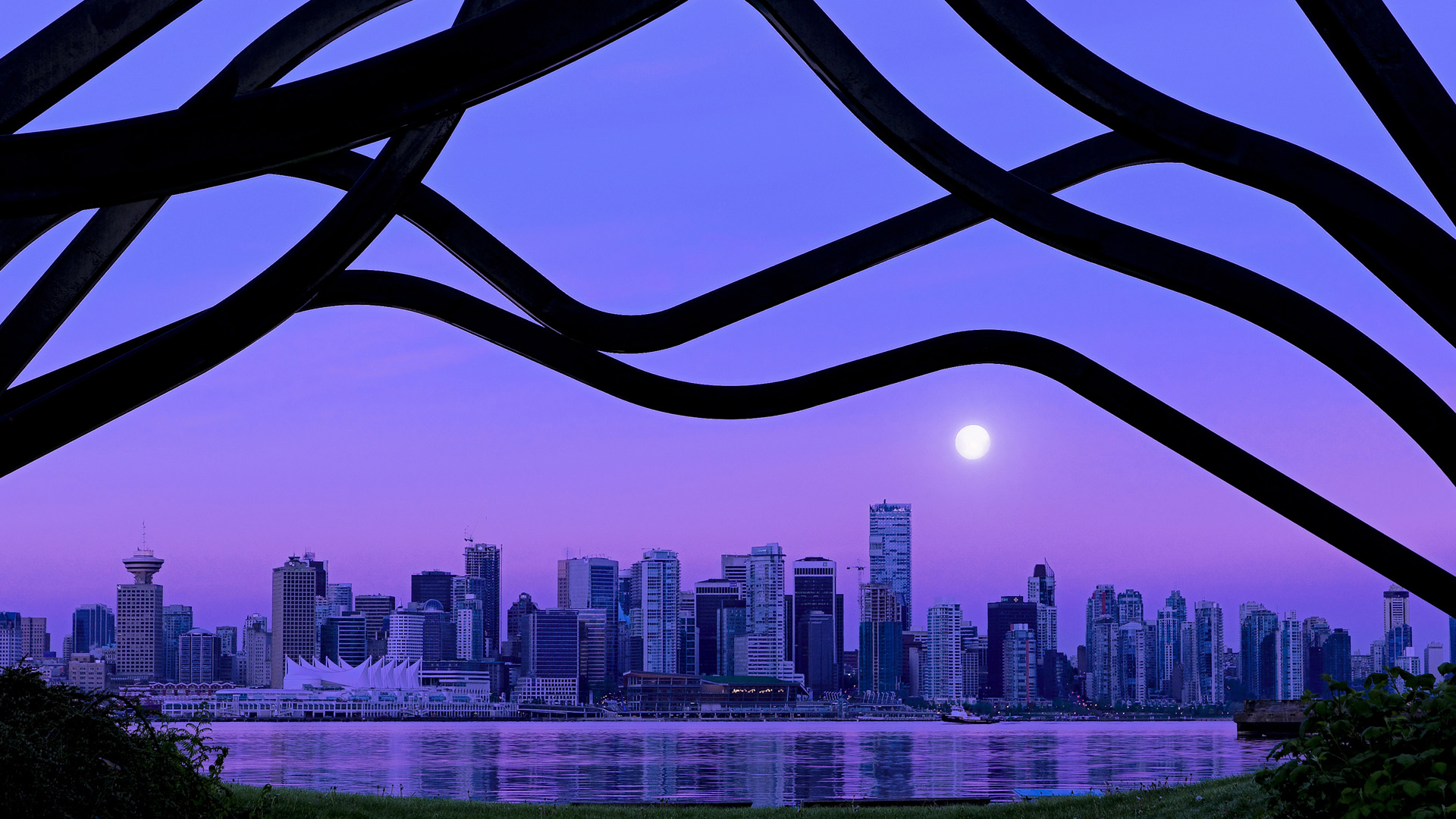 “2025世界游泳锦标赛：水上芭蕾精彩纷呈，艺术之美与竞技并行”