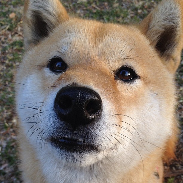 “简阳文体中心篮球赛：观众热情高涨，精彩绝伦”