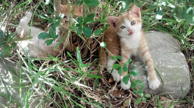 爱游戏中国官方网站平台-球员触球频次是否过高导致推进效率下降，如何提高触球频率