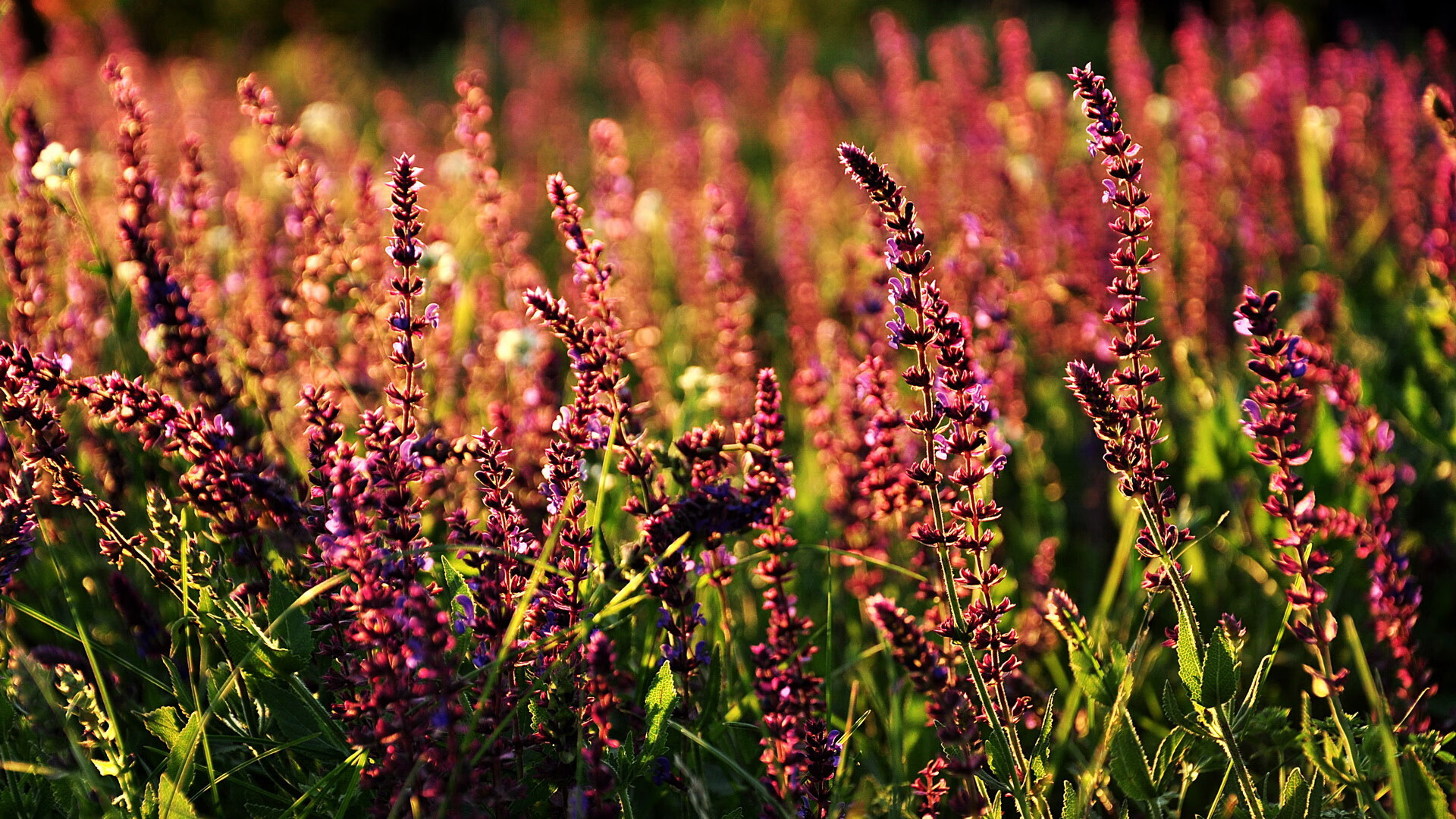 爱游戏体育app-世界杯奇迹逆转：折戟沉沙后逆势翻盘，世界杯的奇迹