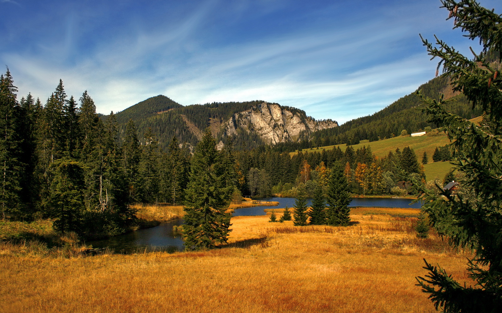 丹·卡特：从全黑队核心球员到橄榄球传奇人物，丹特和c罗