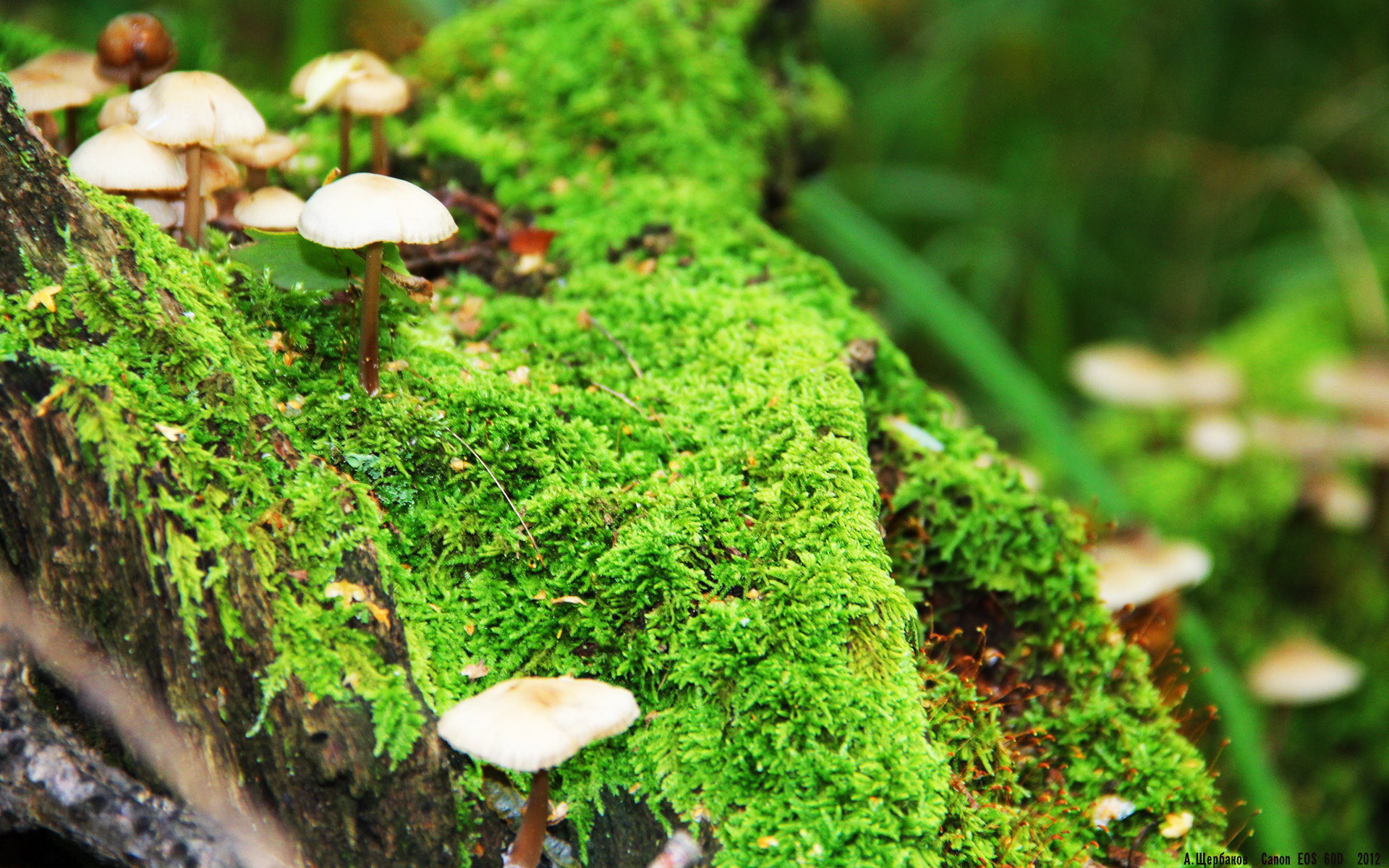 掘金外线核心新发型引全网热议，掘金wang