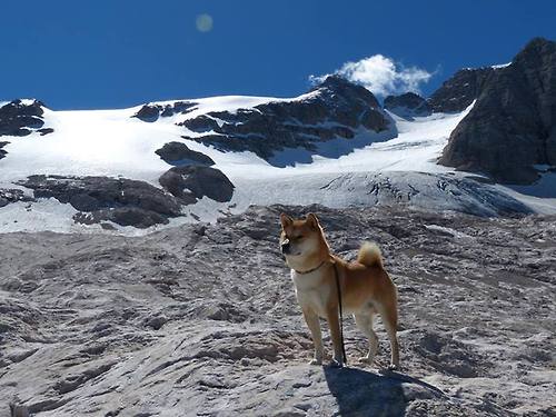 斯洛伐克男篮在欧洲大赛中奋勇追梦，冲击更高荣誉，斯洛伐克 欧洲杯