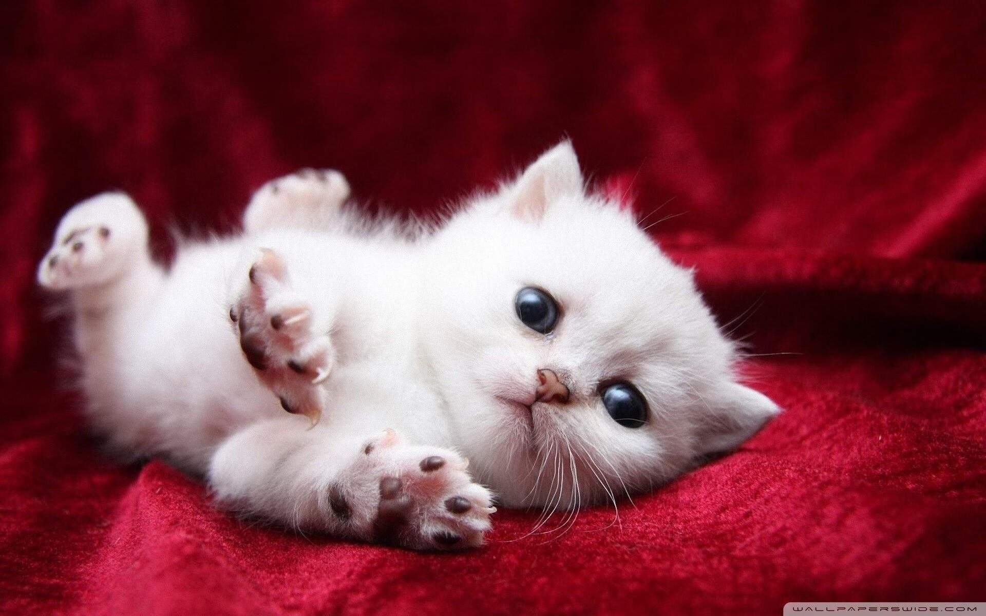 曼联在关键战中逆转夺胜,积分追赶榜首