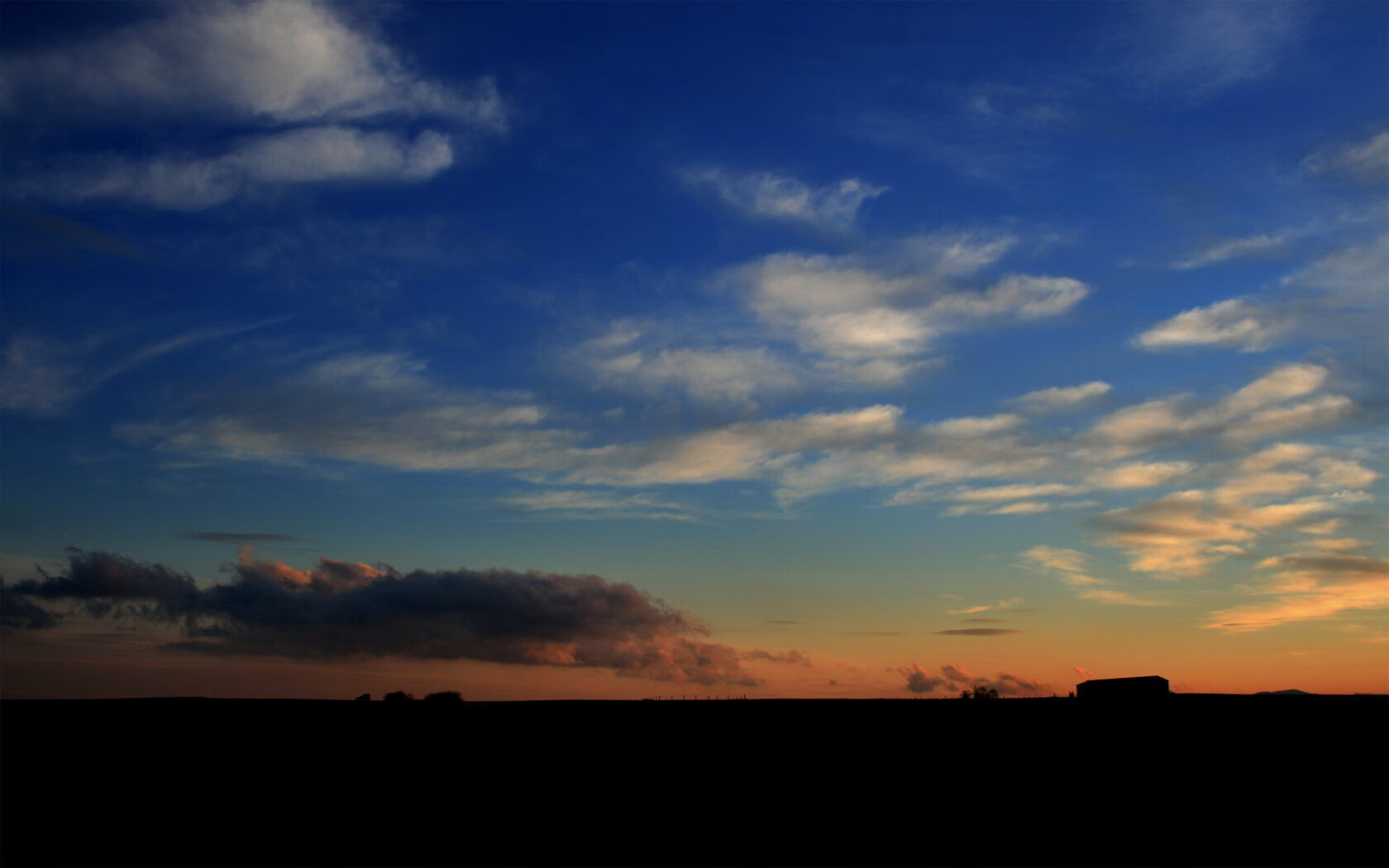 格林伍德的高效防守反击，成为袋鼠队快速反攻的关键，格林伍德什么水平
