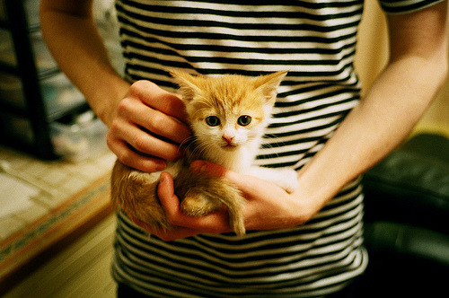 男篮国家队提升团队协作能力应对高压比赛节奏，男篮国家队训练