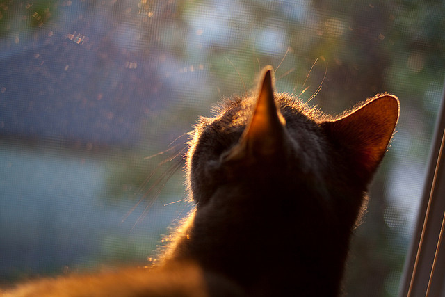爱游戏娱乐网址-青训体系首次引入外语培训助力球员未来留洋发展，青训队伍