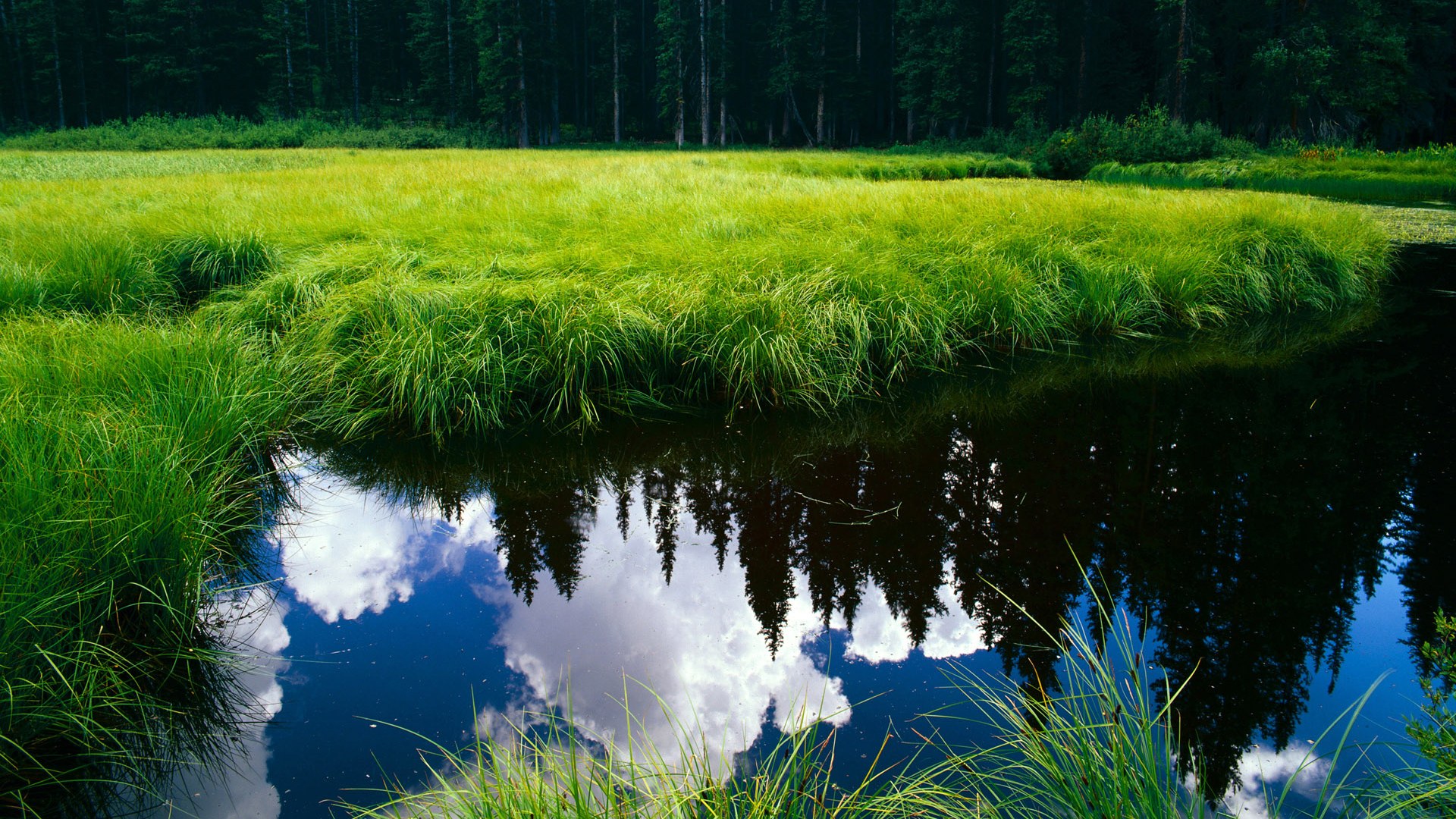 爱游戏综合娱乐-马术跨界合作活动引入城市生活方式，马术产业链